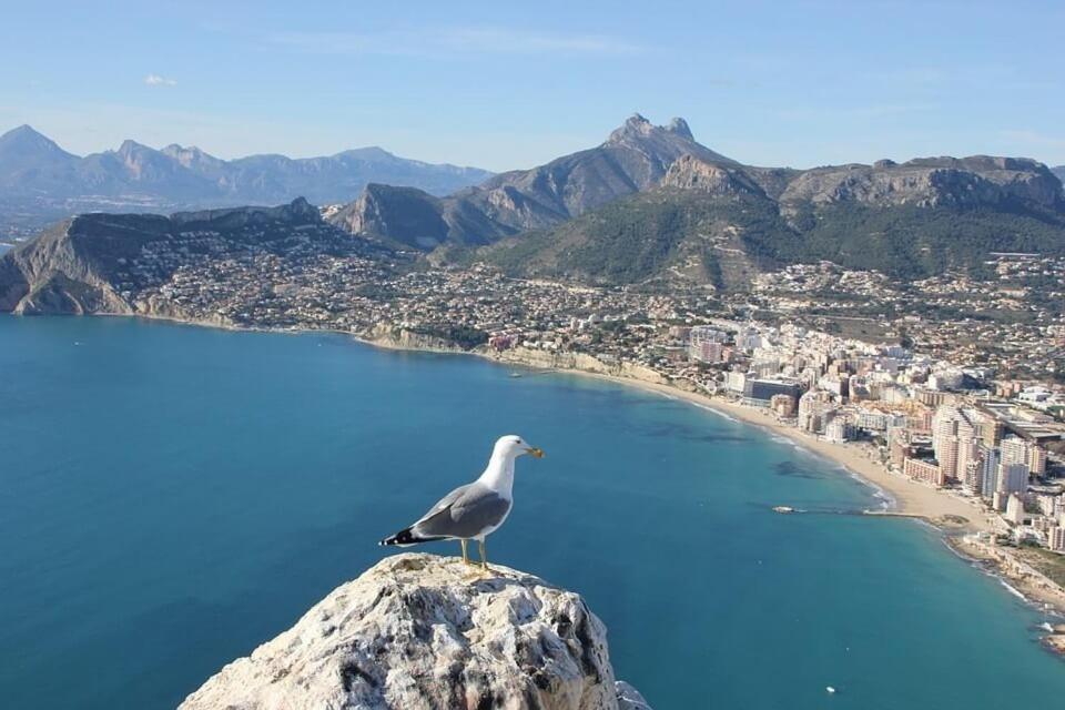 Apartamento Arenal 5 - Plusholidays Calpe Eksteriør billede